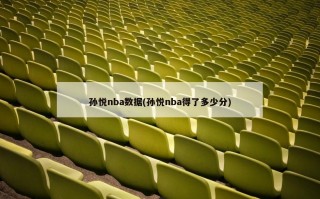 孙悦nba数据(孙悦nba得了多少分)