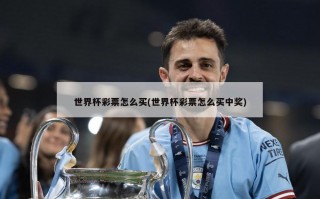 世界杯彩票怎么买(世界杯彩票怎么买中奖)