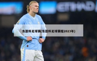 东亚杯足球赛(东亚杯足球赛程2023年)