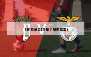 卡斯泰尼奥(泰星卡尼斯德里)