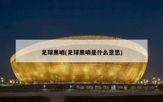 足球黑哨(足球黑哨是什么意思)
