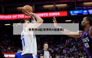 世界杯a组(世界杯A组集锦)