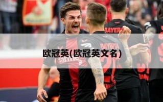 ***英(***英文名)