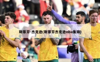 斯蒂芬-杰克逊(斯蒂芬杰克逊nba集锦)