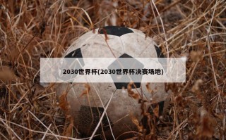 2030世界杯(2030世界杯决赛场地)