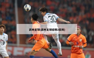 武林足球(武林足球经理2官网)